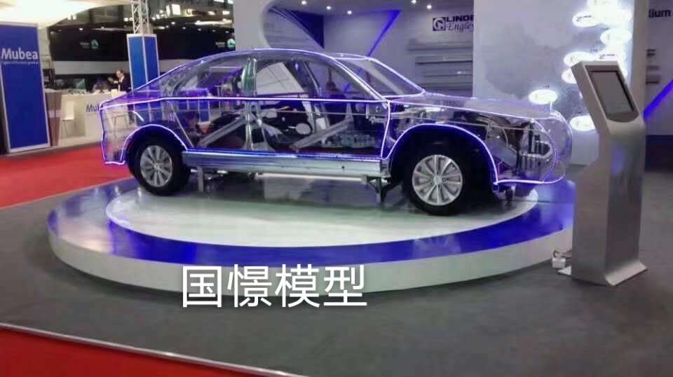 林甸县透明车模型